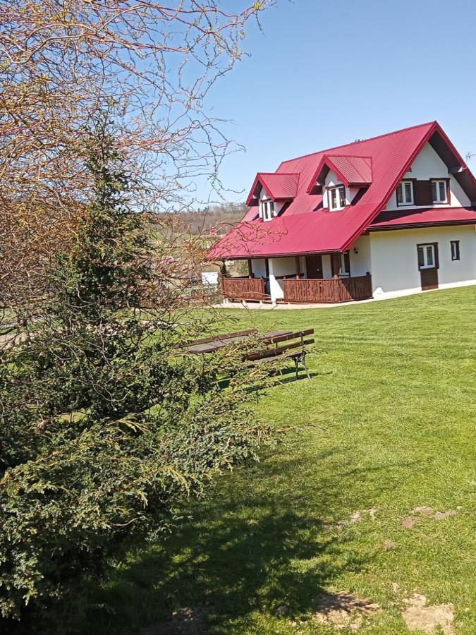 Drozdowka Nad Solina - Chata Z Kominkiem Kültér fotó