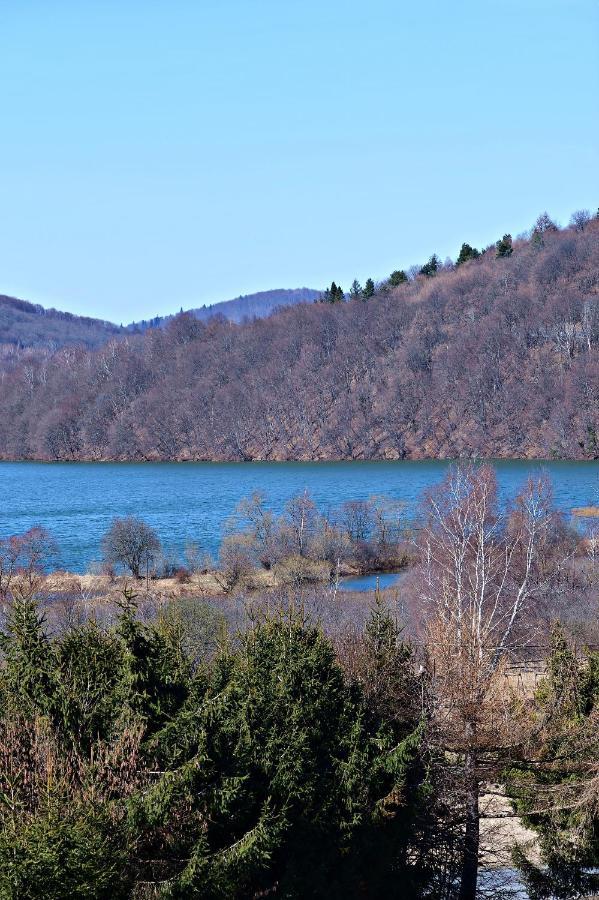 Drozdowka Nad Solina - Chata Z Kominkiem Kültér fotó
